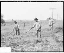 mexican workers