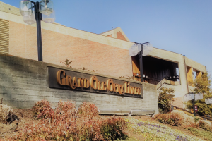 Grand Ole Opry House Exterior and Sign