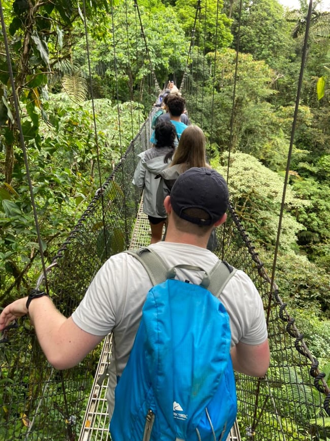 forest bridge in Costa Rica